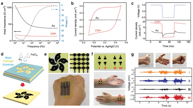 Electroconductive hydrogels for wearable electronics. 